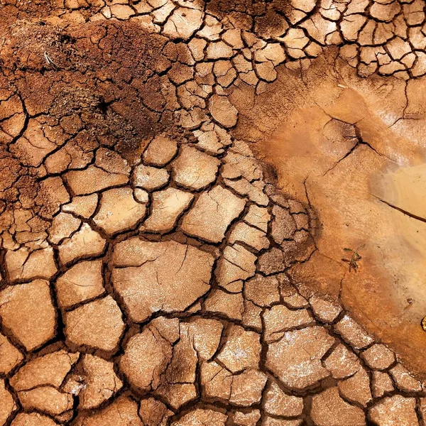 Primer Plano Tierra Seca Agrietada Textura Del Suelo Seco Una —  Fotos de Stock