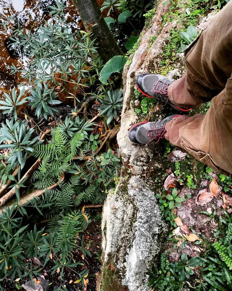 站在森林中的石头上的徒步旅行者的腿 — 图库照片