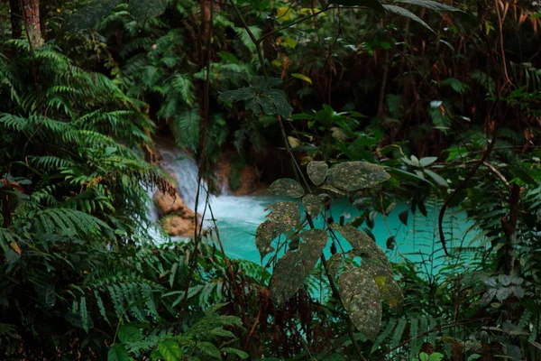 Tat Kuang Cachoeiras Bela Paisagem Luang Prabang Laos — Fotografia de Stock