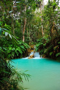 Luang Prabang, Laos Tat Kuang Si Şelaleler Güzel manzara