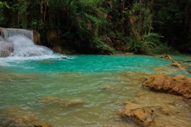 Luang Prabang, Laos Tat Kuang Si Şelaleler Güzel manzara