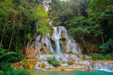 Luang Prabang, Laos Tat Kuang Si Şelaleler Güzel manzara