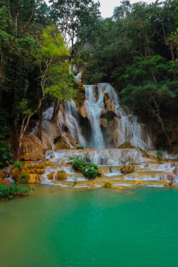 Luang Prabang, Laos Tat Kuang Si Şelaleler Güzel manzara