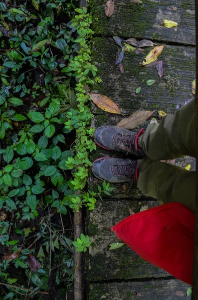 Gambe Uomini Piedi Sul Ponte Nella Foresta Pluviale — Foto Stock