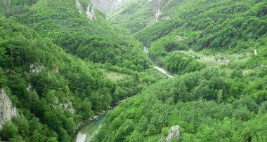 Nehir yeşil kaplı dağlar arasında akar. Karadağ. Yüksek dağlar. Deredeki köy. Yeşil Orman