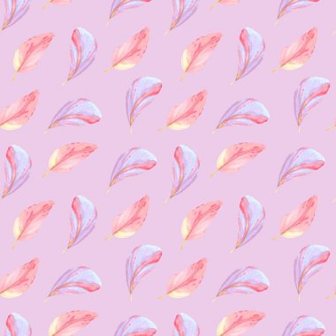 pembe bir arka plan üzerinde hassas suluboya tüyleri