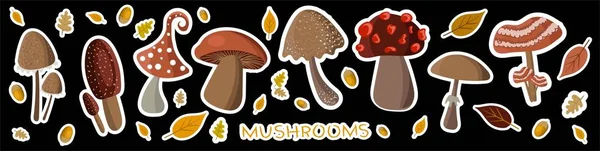 Мила колекція грибів на чорному тлі. Грибні наклейки для дитячої творчості, етикетки для продуктів або логотип для фермера . — стоковий вектор