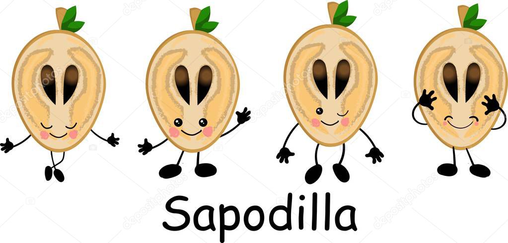 Sapodilla, fruit doodle drawings vector illustration. Manilkara kauki seeds are tropical fr.it that are classified as sapodilla