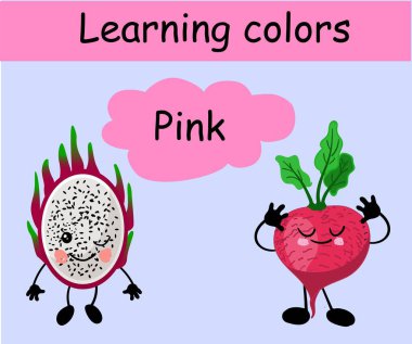Renkleri öğrenin. Pembe renk. Ejderha meyve pitaya ve turp. Bebek eğitimi
