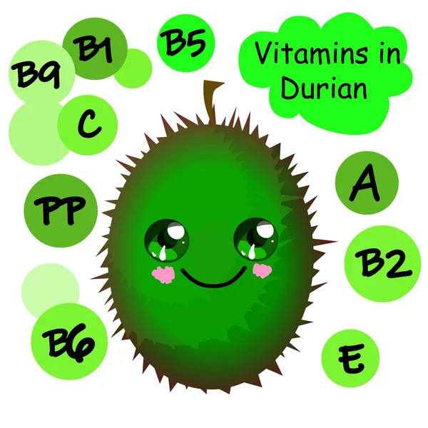 Durian karakter. Trópusi gyümölcsök egzotikus. A vitaminok tartalma. Egészséges táplálkozás. — Stock Vector