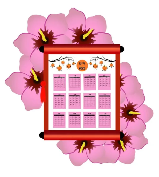 Calendrier 2020 coréen. Stock rose ou hibiscus symbole national de la Corée du Sud. Faites défiler avec du parchemin. Fruit kaki. Traduction : jours de la semaine et calendrier . — Image vectorielle