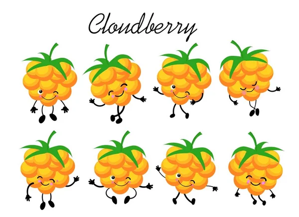 Cloudberry collection on a white background. Логотип компании по производству ягод . — стоковый вектор