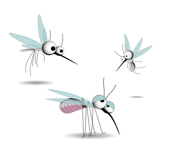 Mosquitos Caracter Parasitas Insectos Ilustração Vetorial Isolada Sobre Fundo Branco — Vetor de Stock