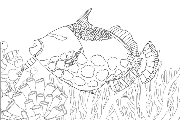 Colorant Exotique Poisson Coloriage Antistress Des Créatures Marines Des Poissons — Image vectorielle