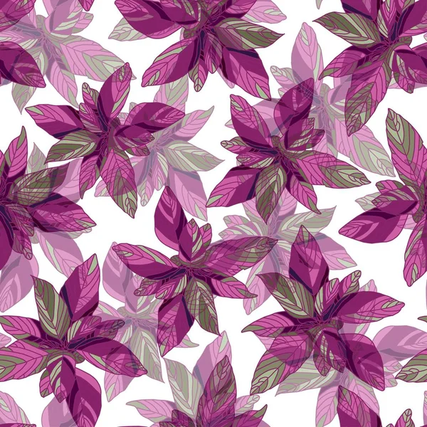 Patrón Amaranto Patrón Flores Verano Brillante Púrpura Ilustración Vectorial Ilustración — Vector de stock