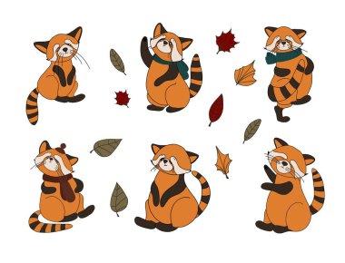 Küçük panda, kırmızı panda, kedi ayı. Karakter, sevimli canavar. Komik hayvanlar. Sonbahar dekorasyonu. Vektör illüstrasyonu beyaz arkaplanda izole edildi.
