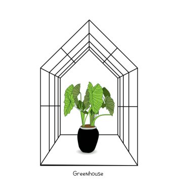 Beyaz arka planda sera çizimi. Çiçek evi. Kış bahçesi. Bahçıvanlık ve kamyonculuk konsepti. Egzotik bitki..