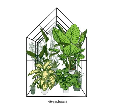 Beyaz arka planda sera çizimi. Çiçek evi. Kış bahçesi. Bahçıvanlık ve kamyonculuk konsepti. Egzotik bitki..