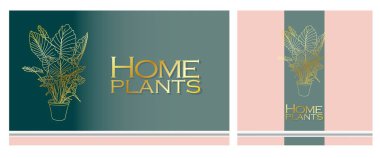 İç mekanlarda modern moda bitkiler. Bahçe ve bitki yetiştirme kavramı.