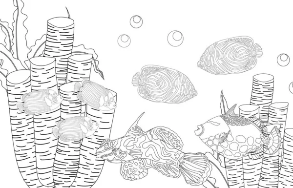 Ausmalbilder Fische Meeresleben Unterwasserwelt Illustration — Stockfoto
