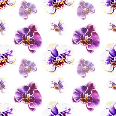 Orkide çiçeklerinden dikişsiz desen. Suluboya boyama. Egzotik bitki. Çiçek baskısı. Botanik kompozisyon. Düğün ve doğum günü. Tebrik kartı. Çiçek boyalı arka plan. Elle çizilmiş illüstrasyon.