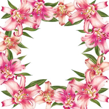 beyaz arka plan üzerinde pembe zambak çerçeve