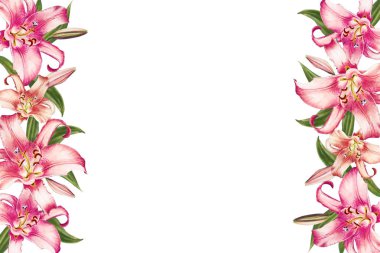 beyaz arka plan üzerinde pembe zambak çerçeve