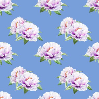 beyaz şakayık çiçekleri pürüzsüz arkaplan resimlemesi