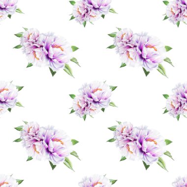 beyaz şakayık çiçekleri pürüzsüz arkaplan resimlemesi