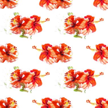 Hibiscus çiçek çerçevesi beyaz izole