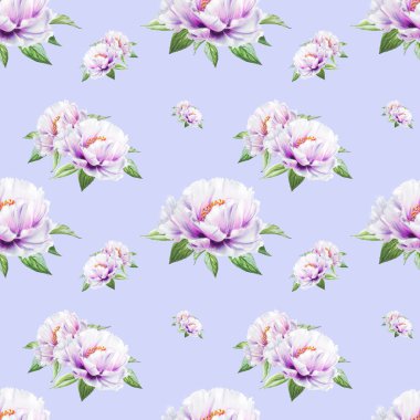 beyaz şakayık çiçekleri pürüzsüz arkaplan resimlemesi