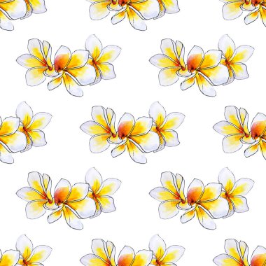 plumeria çiçekler ilerliksiz arka plan deseni