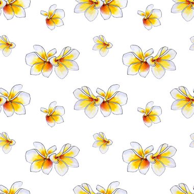 plumeria çiçekler ilerliksiz arka plan deseni