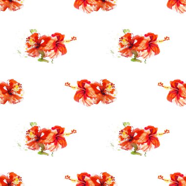 Hibiscus çiçek çerçevesi beyaz izole