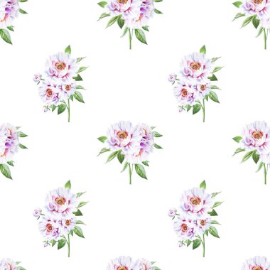 beyaz şakayık çiçekleri pürüzsüz arkaplan resimlemesi