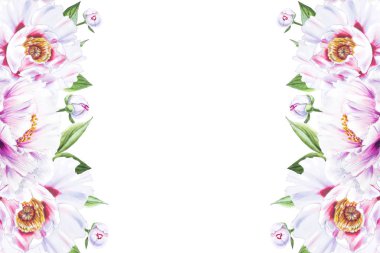 Beyaz arkaplanda beyaz şakayık çiçekleri çerçevesi