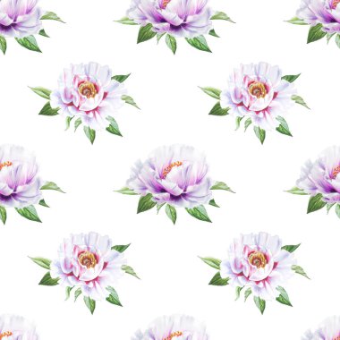 beyaz şakayık çiçekleri pürüzsüz arkaplan resimlemesi