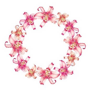 beyaz arka plan üzerinde pembe zambak çerçeve