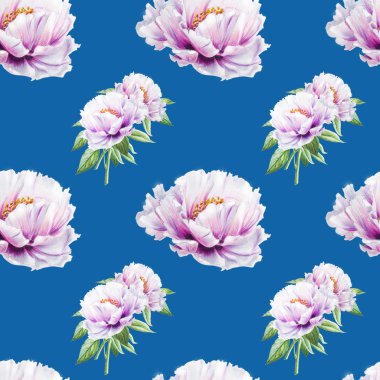 beyaz şakayık çiçekleri pürüzsüz arkaplan resimlemesi