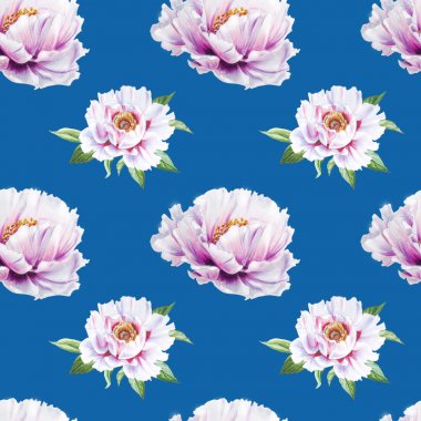 beyaz şakayık çiçekleri pürüzsüz arkaplan resimlemesi