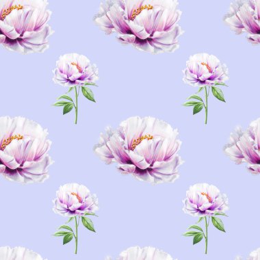 beyaz şakayık çiçekleri pürüzsüz arkaplan resimlemesi