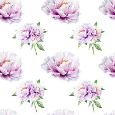 beyaz şakayık çiçekleri pürüzsüz arkaplan resimlemesi