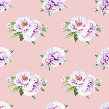 beyaz şakayık çiçekleri pürüzsüz arkaplan resimlemesi