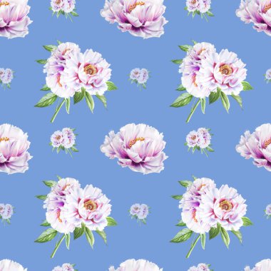 beyaz şakayık çiçekleri pürüzsüz arkaplan resimlemesi