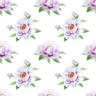 beyaz şakayık çiçekleri pürüzsüz arkaplan resimlemesi