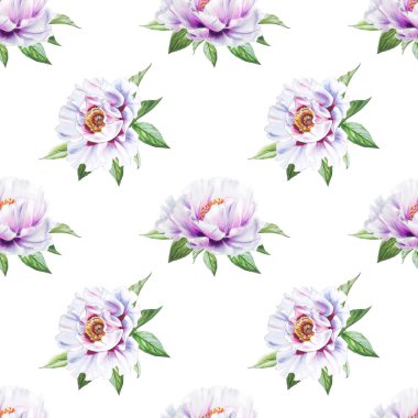 beyaz şakayık çiçekleri pürüzsüz arkaplan resimlemesi