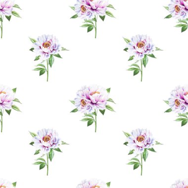 beyaz şakayık çiçekleri pürüzsüz arkaplan resimlemesi