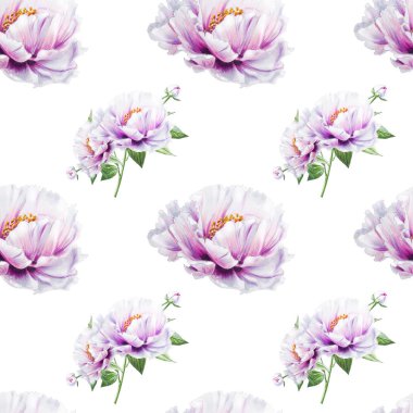 beyaz şakayık çiçekleri pürüzsüz arkaplan resimlemesi