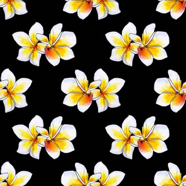 plumeria çiçekler ilerliksiz arka plan deseni