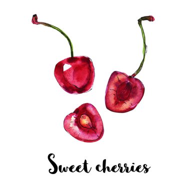 beyaz olgun kiraz suluboya illüstrasyon